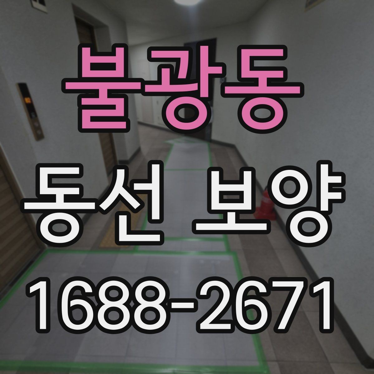 불광동 동선 보양 적용 범위를 정하는 기준