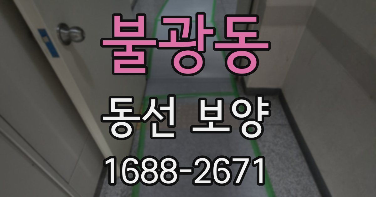 불광동 동선 보양