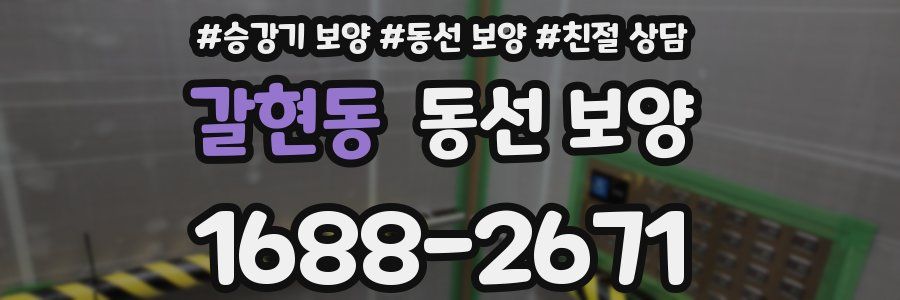 갈현동 동선 보양