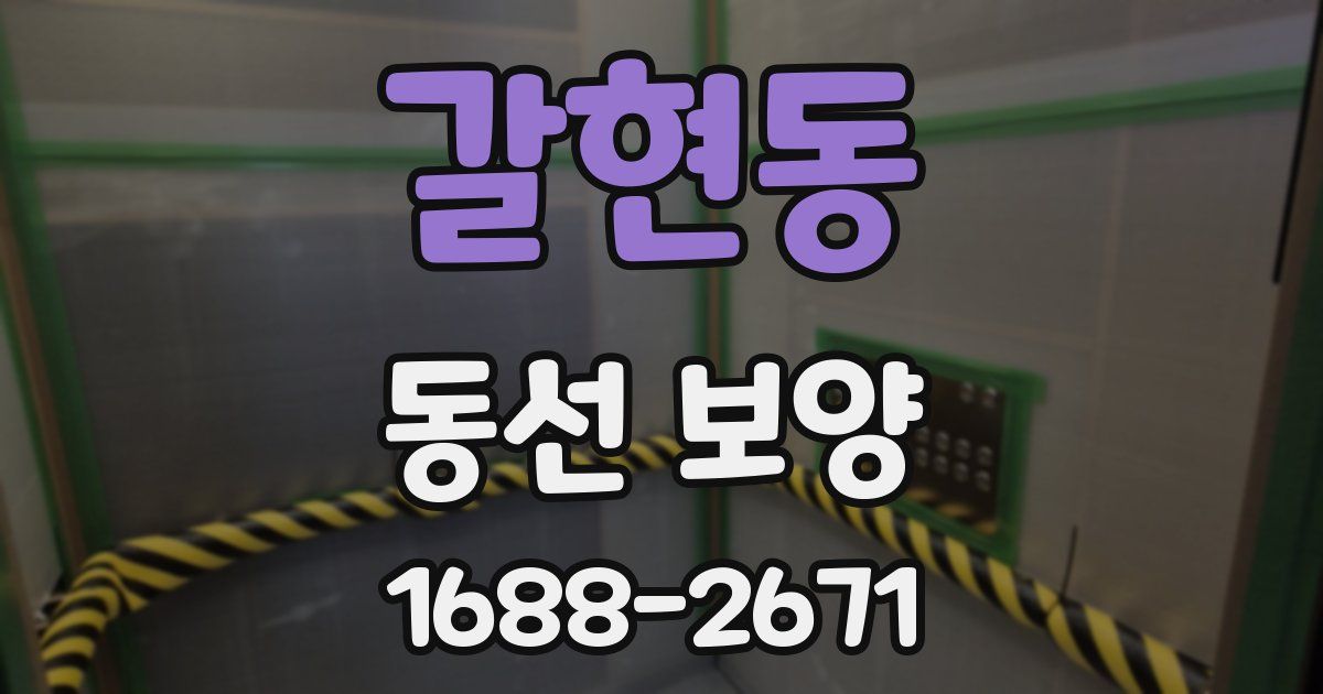 갈현동 동선 보양