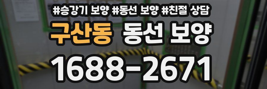 구산동 동선 보양
