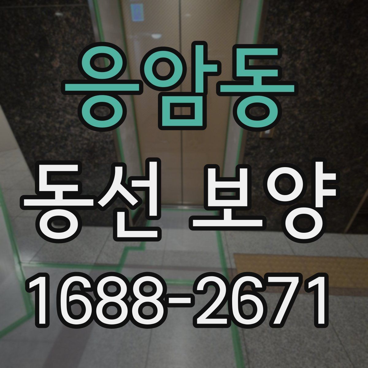 응암동 동선 보양 작업에서 품질 차이를 만드는 요인