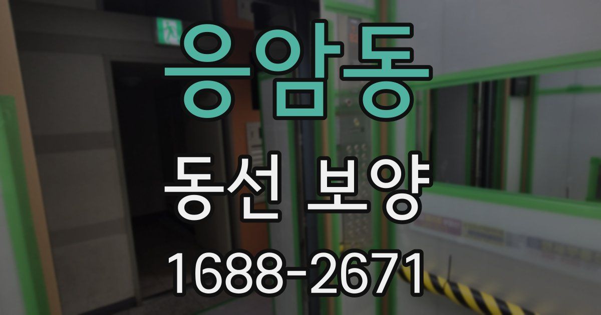 응암동 동선 보양