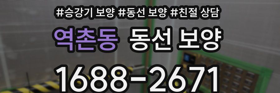 역촌동 동선 보양