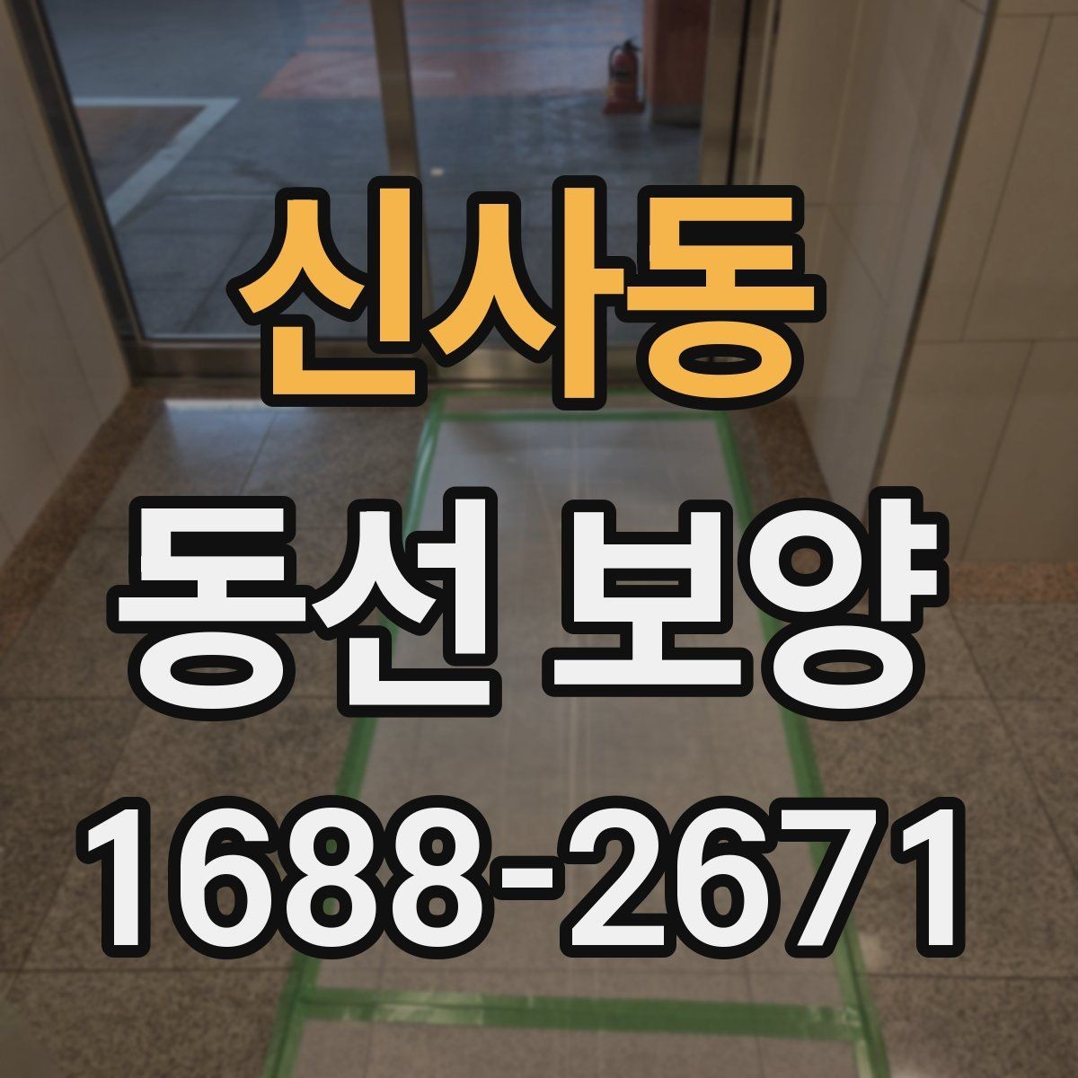 신사동 동선 보양 작업을 진행할 때 주의할 점