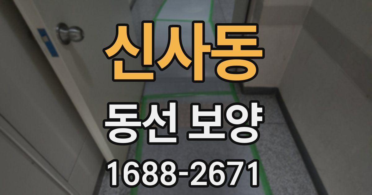 신사동 동선 보양