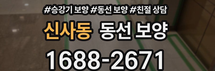 신사동 동선 보양