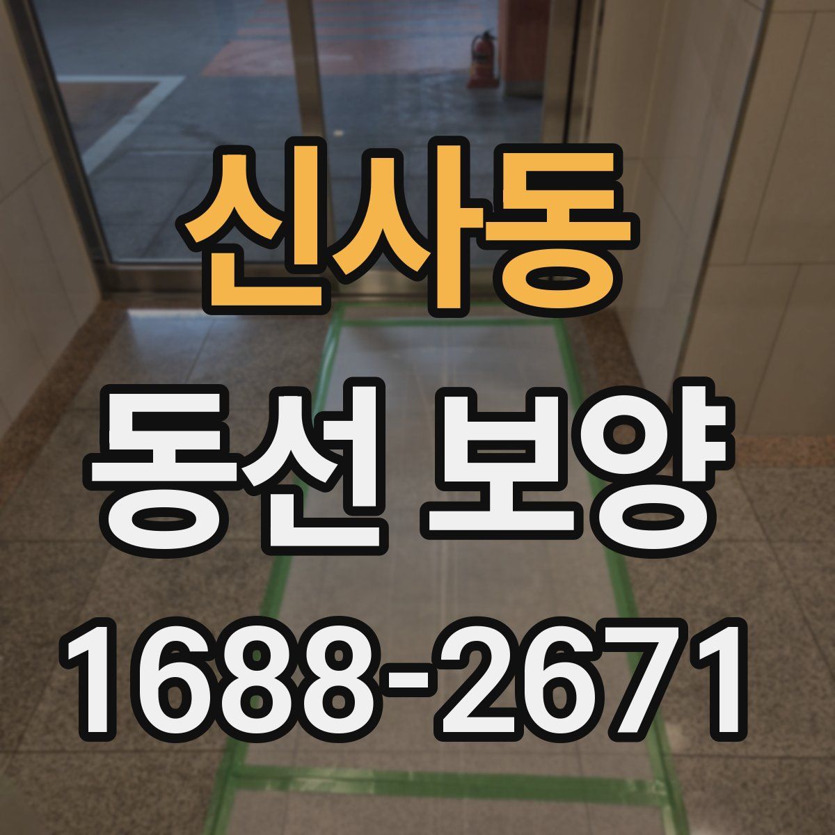 신사동 동선 보양