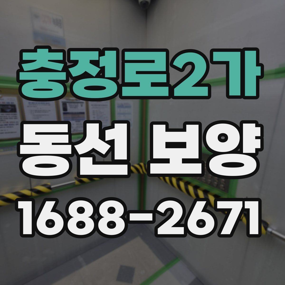 충정로2가 동선 보양 업체를 고를 때 살펴볼 기준