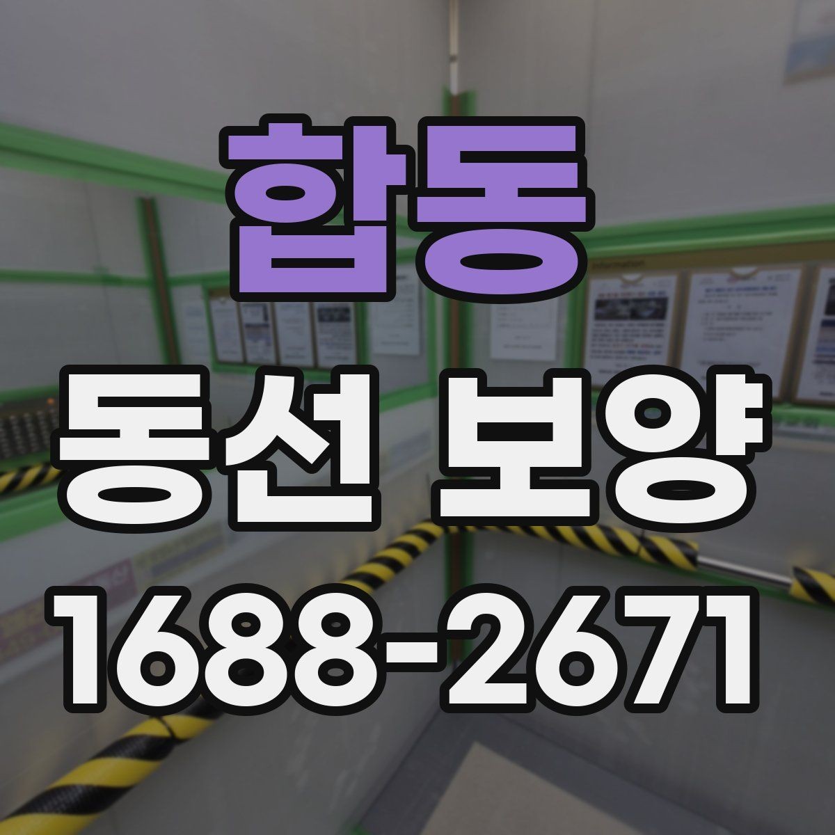 합동 동선 보양 전후 차이를 알기 쉽게 정리