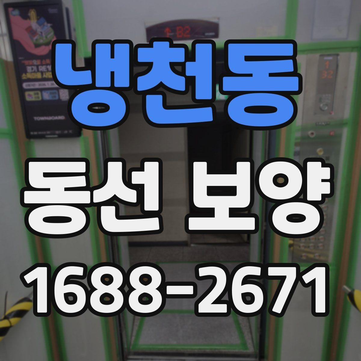 냉천동 동선 보양 견적 비교할 때 살펴볼 포인트