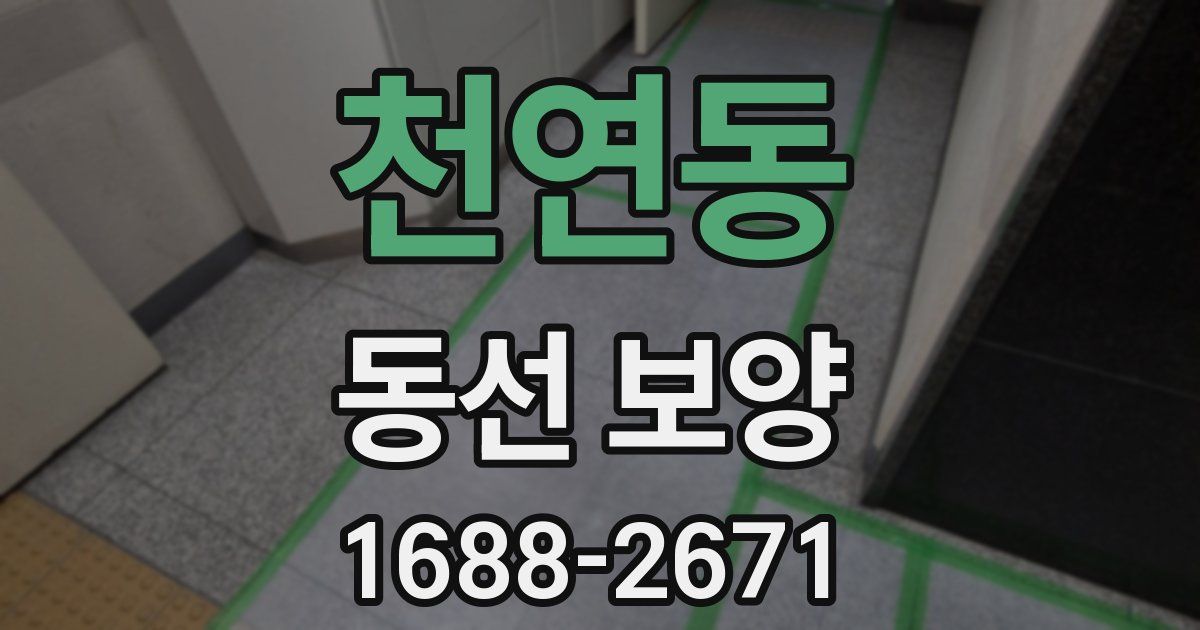 천연동 동선 보양