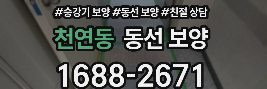 천연동 동선 보양