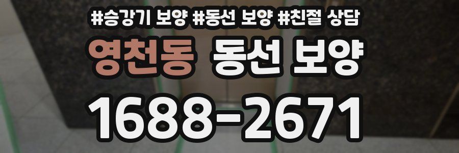 영천동 동선 보양
