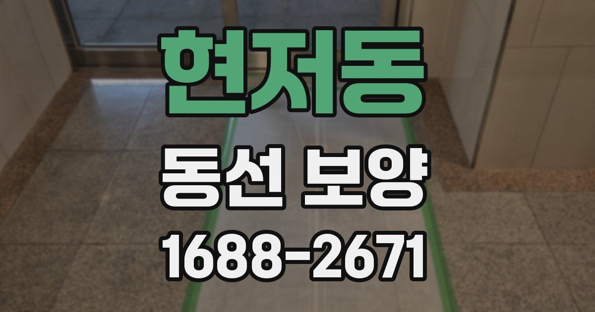 현저동 동선 보양