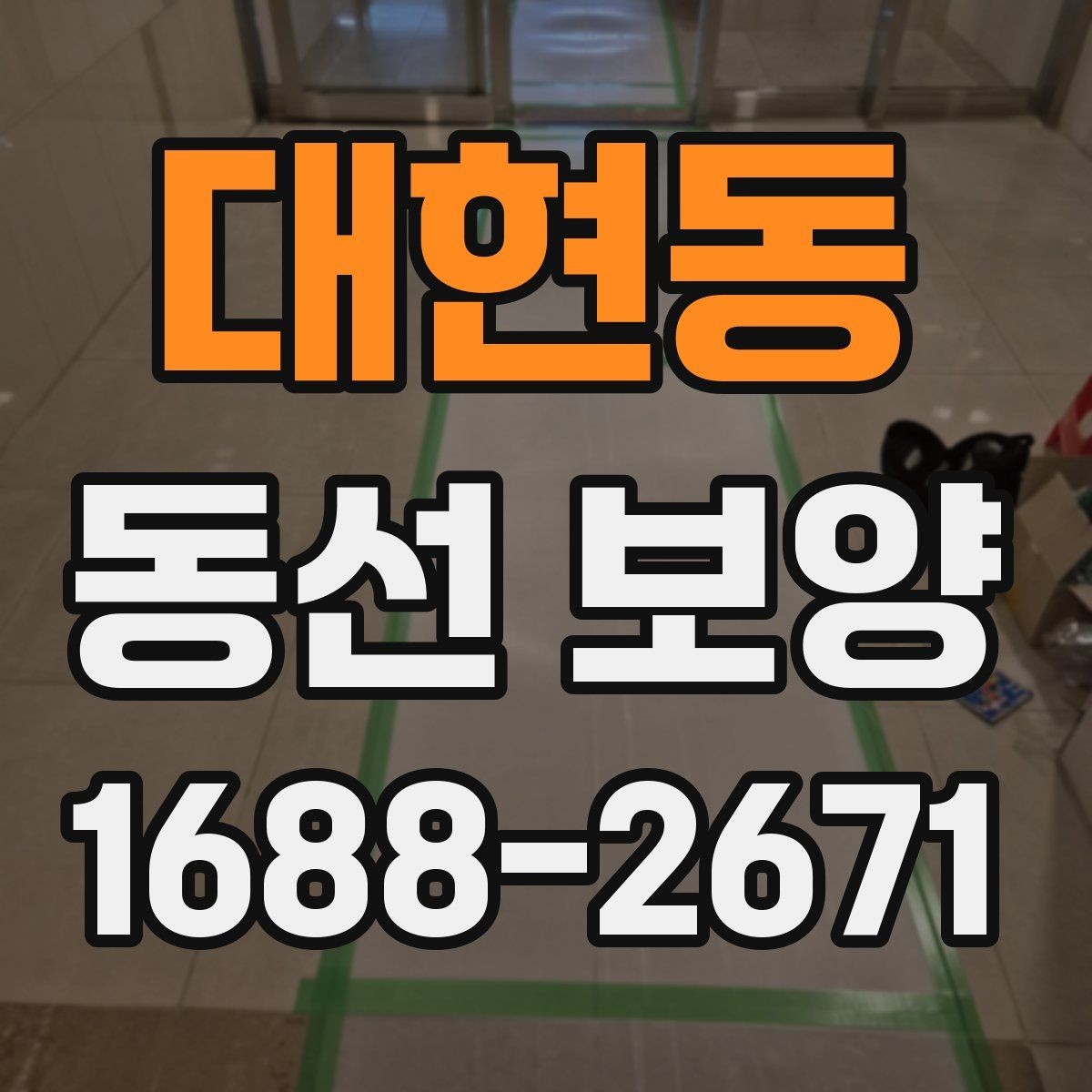 대현동 동선 보양 선택 시 품질과 비용을 함께 보는 법