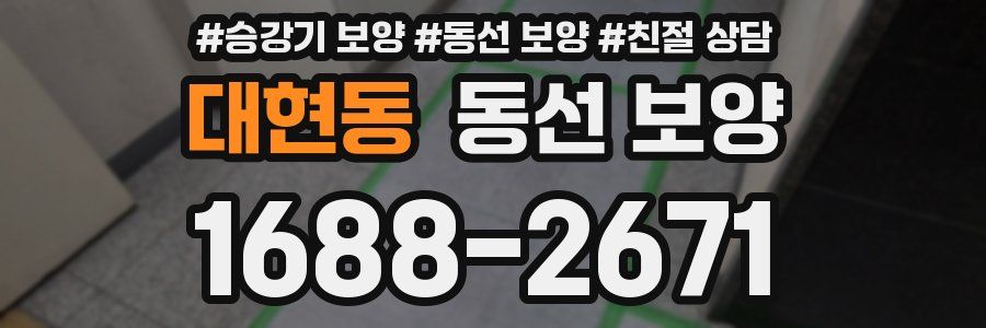 대현동 동선 보양