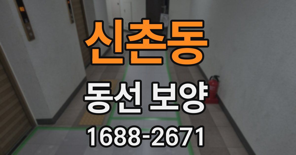 신촌동 동선 보양