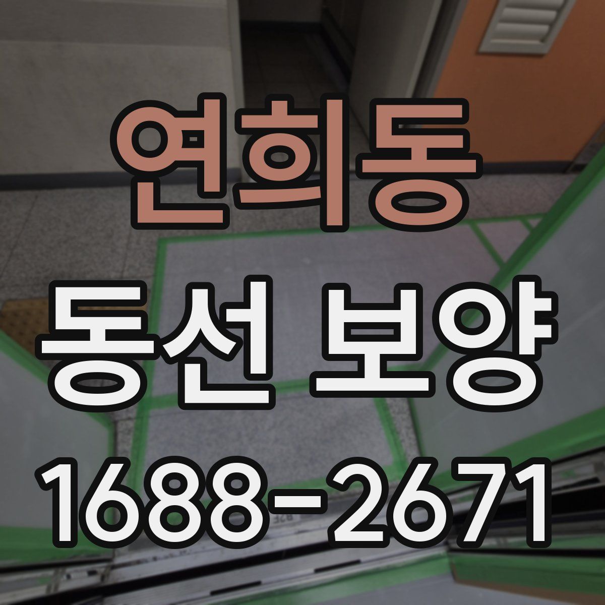 연희동 동선 보양