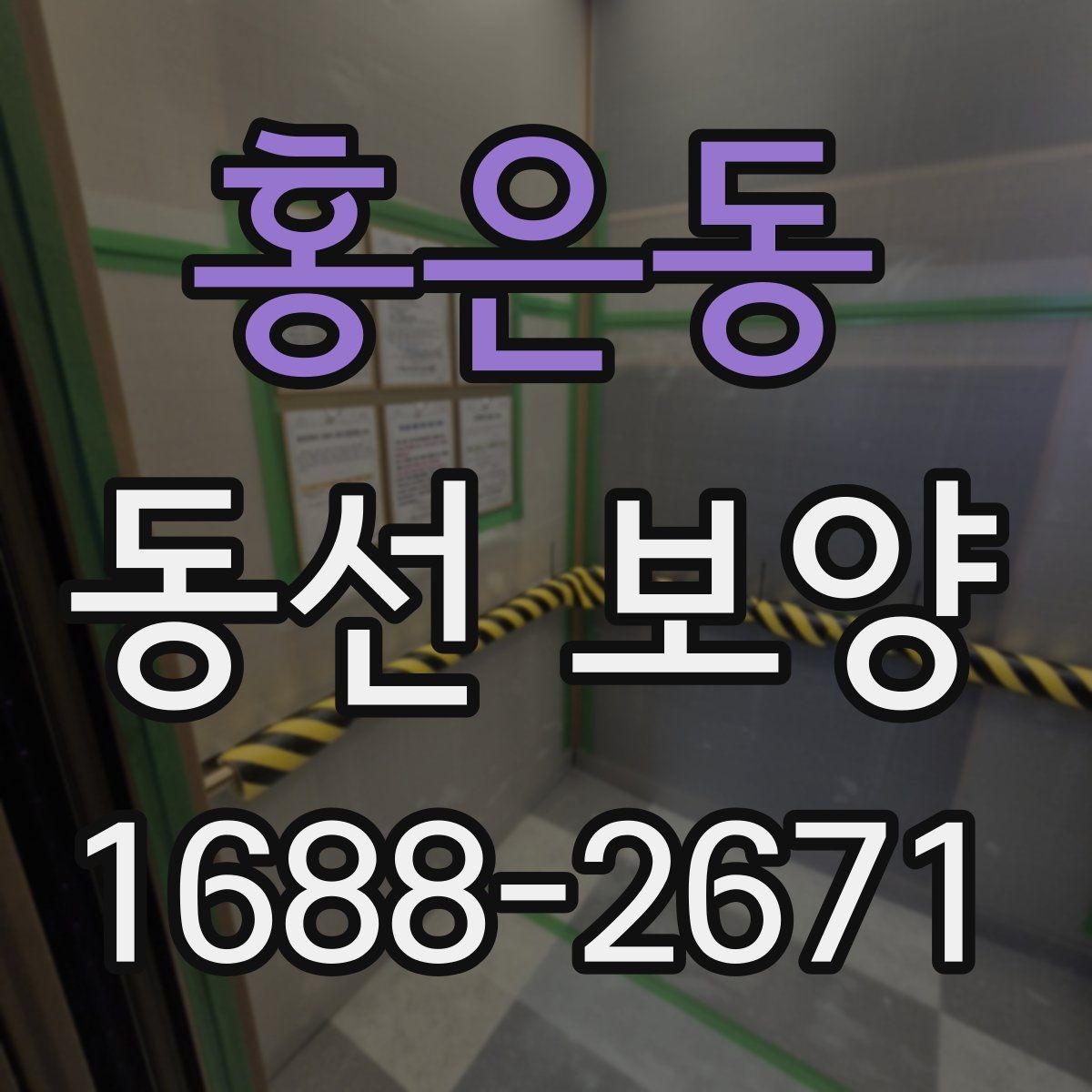 홍은동 동선 보양 범위와 작업 흐름 알아보기