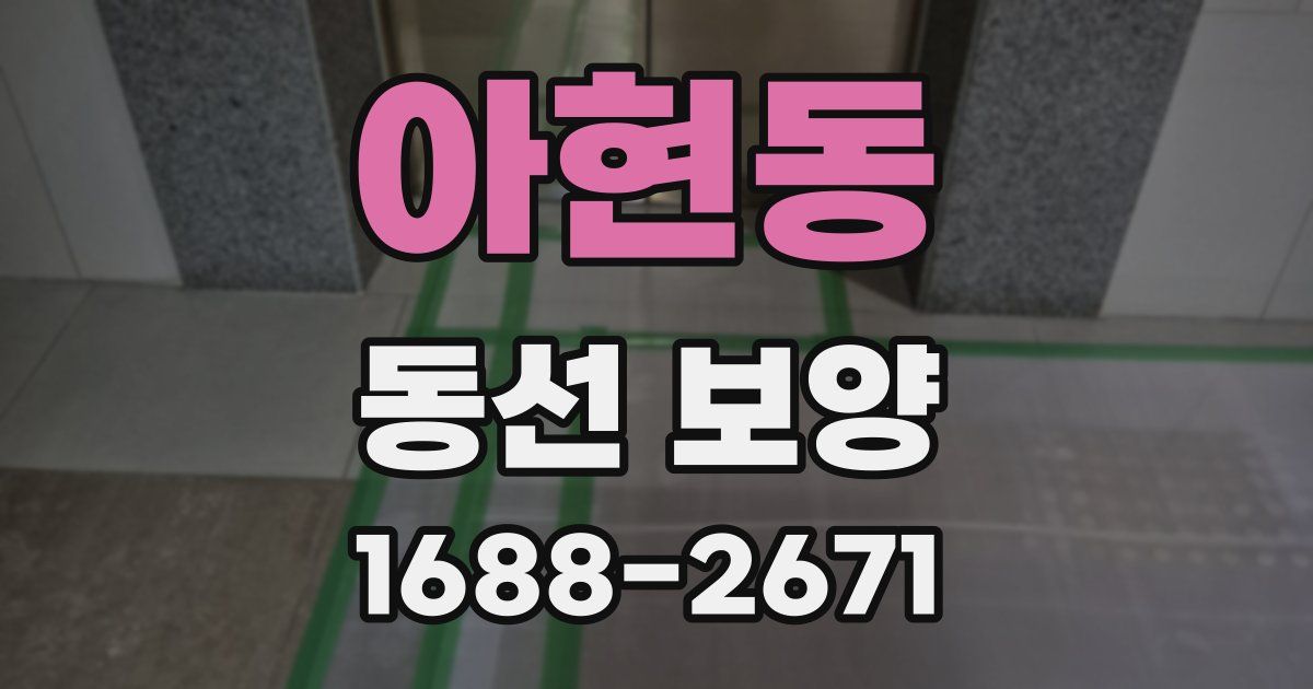 아현동 동선 보양