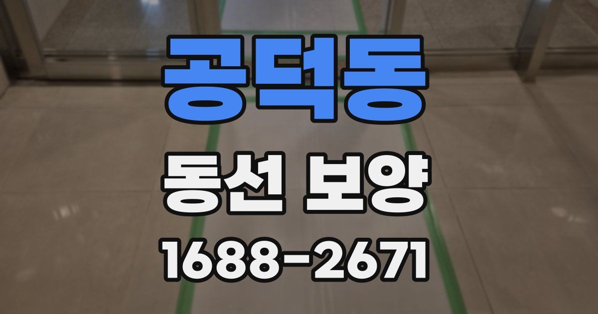 공덕동 동선 보양