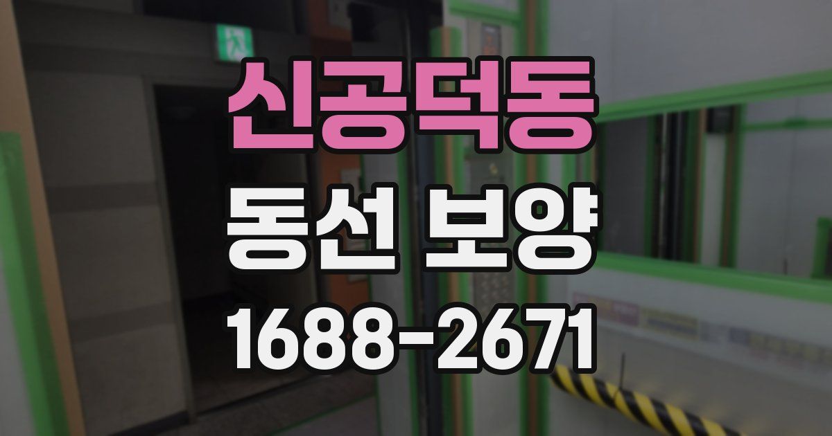 신공덕동 동선 보양