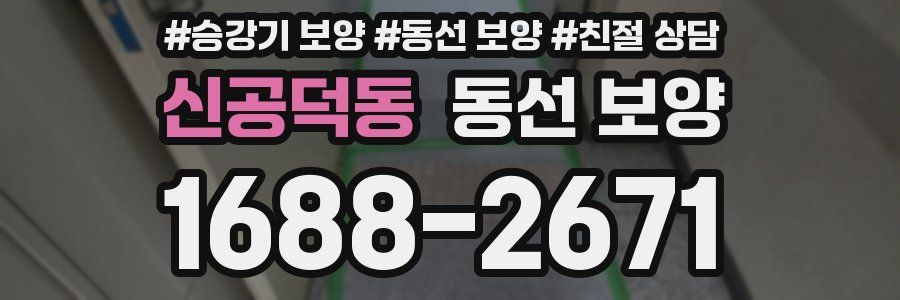 신공덕동 동선 보양