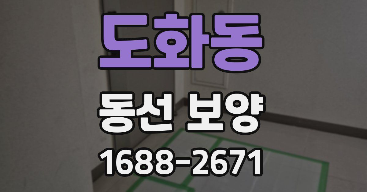 도화동 동선 보양