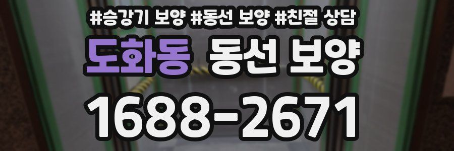 도화동 동선 보양
