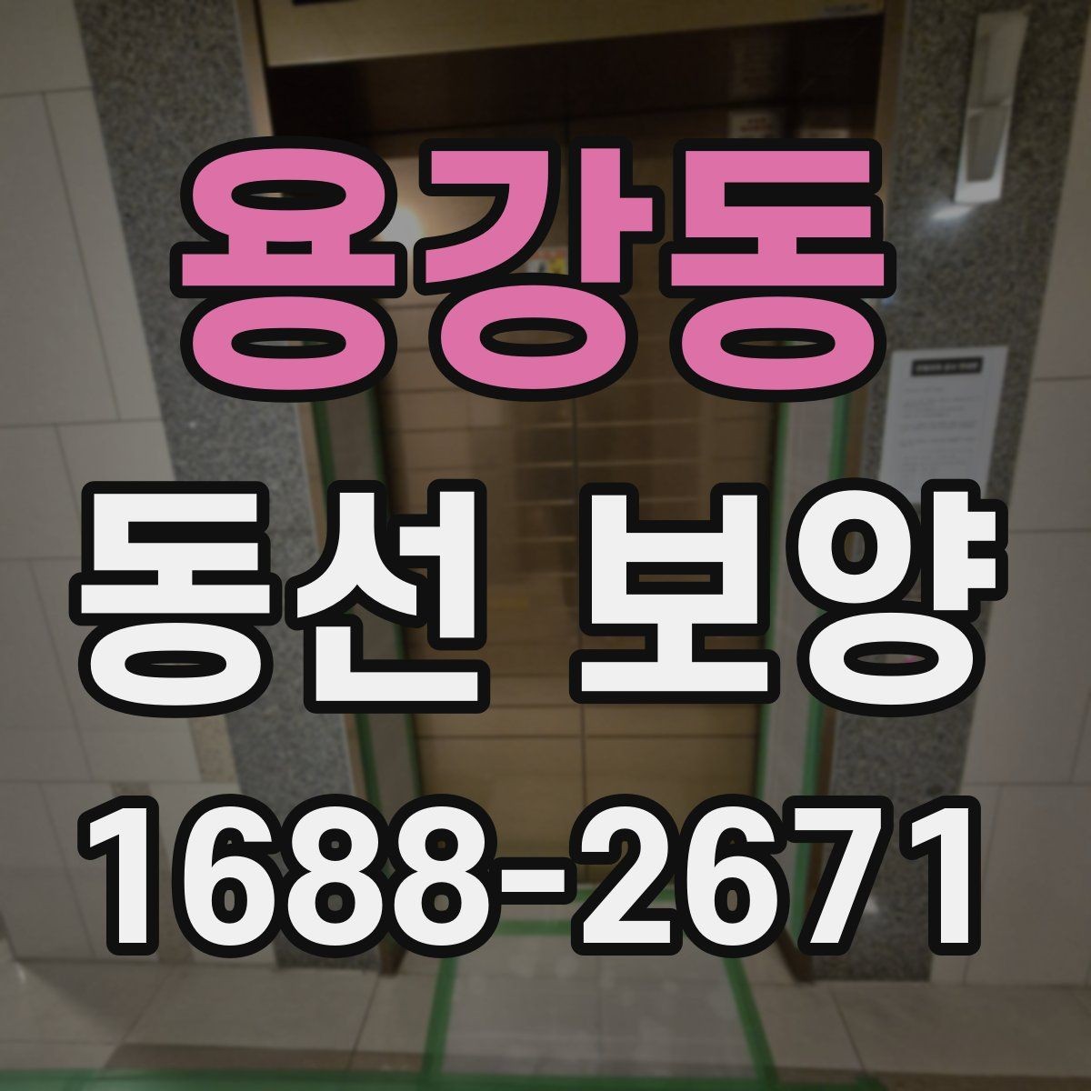 용강동 동선 보양 현장에서 효율을 높이는 방법