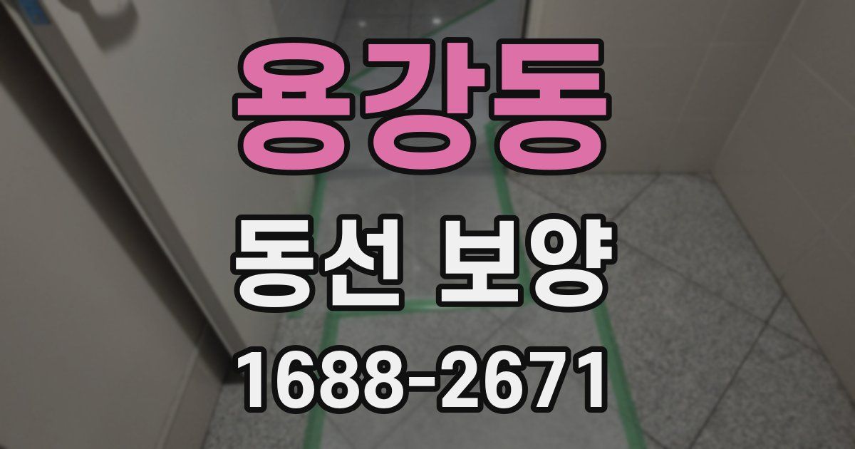 용강동 동선 보양