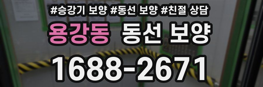 용강동 동선 보양