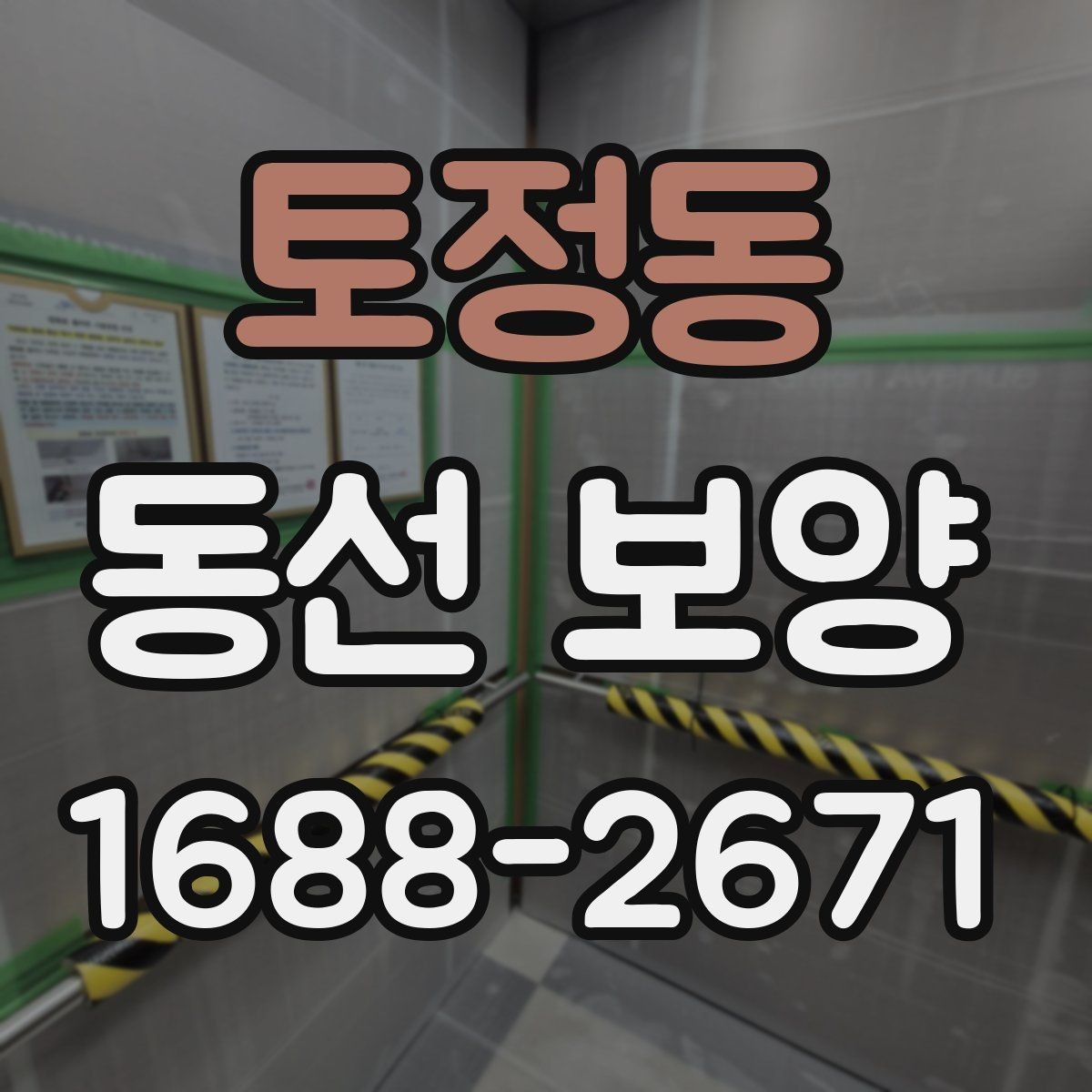 토정동 동선 보양 자재별 특징과 활용 방법