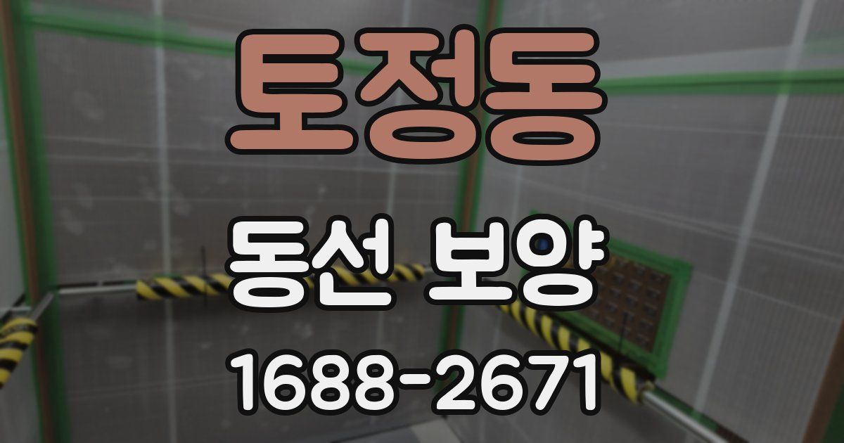 토정동 동선 보양