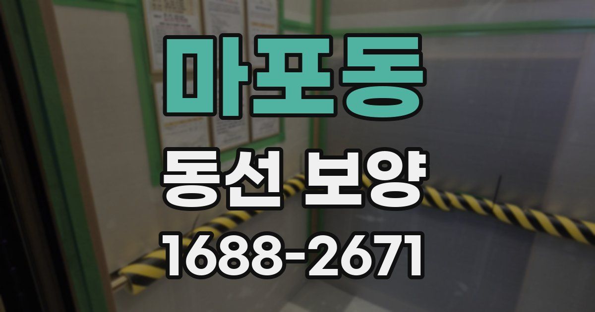 마포동 동선 보양