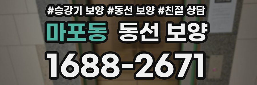 마포동 동선 보양