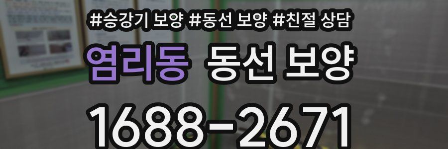 염리동 동선 보양