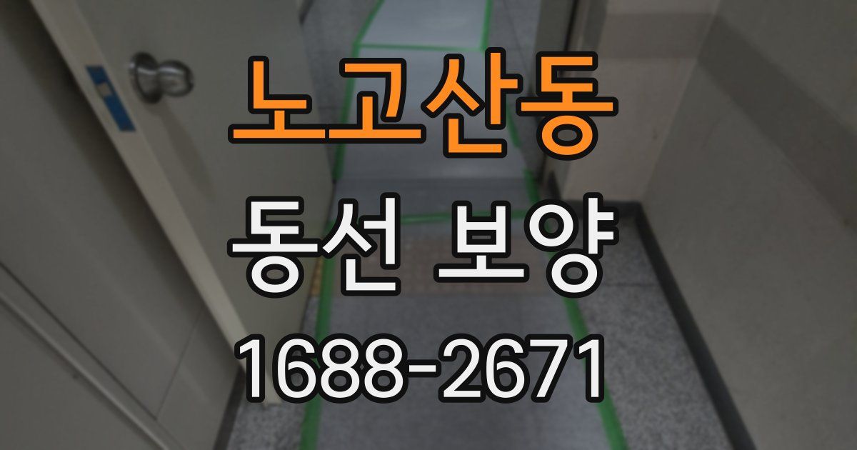 노고산동 동선 보양