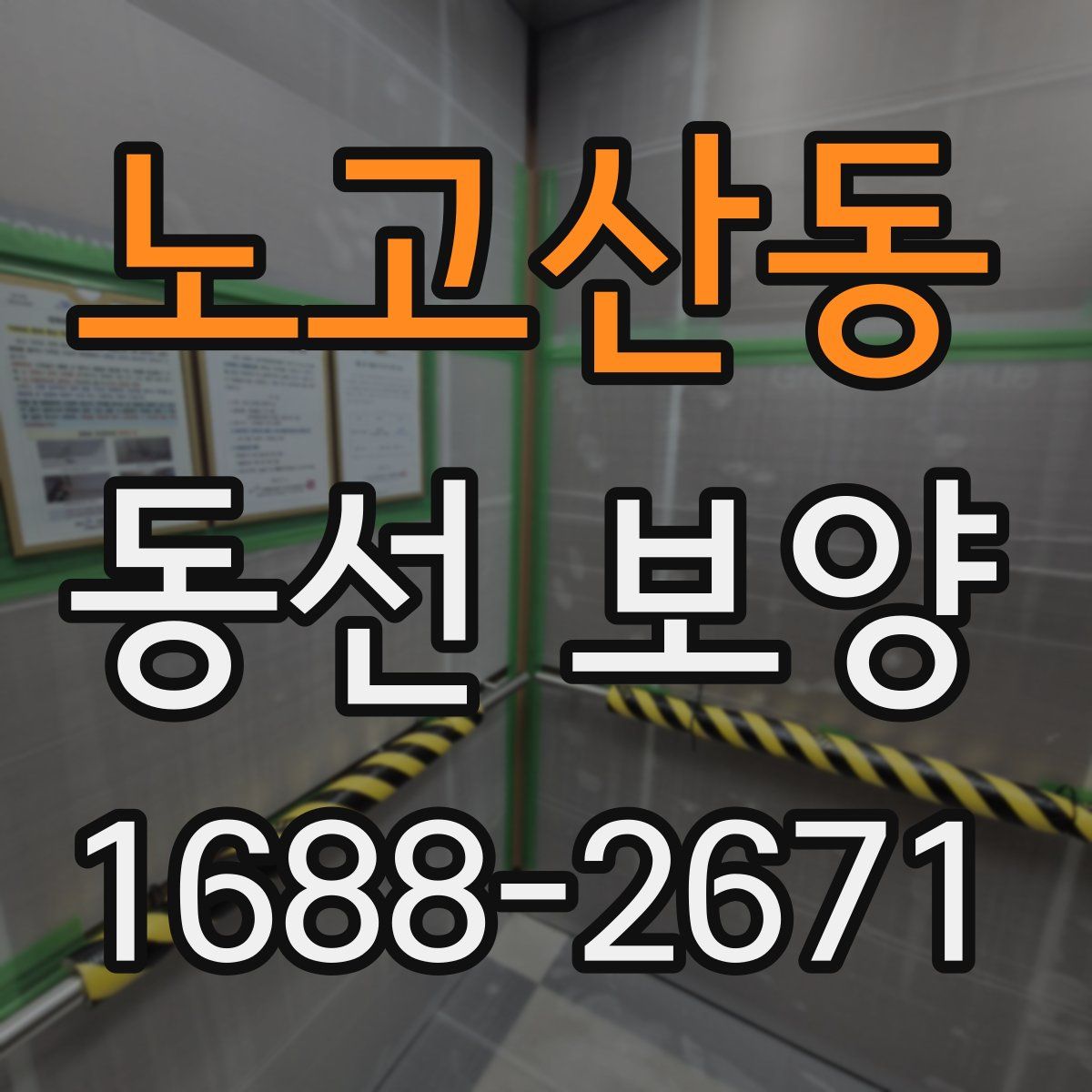 노고산동 동선 보양