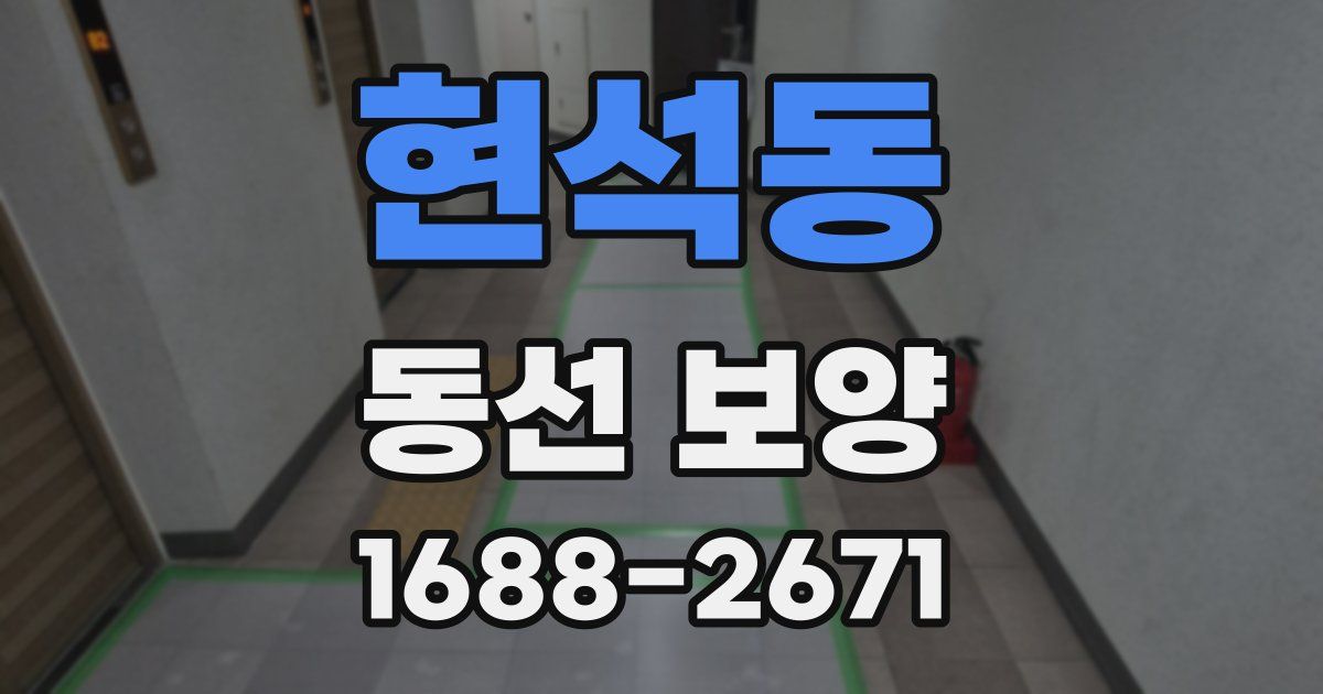 현석동 동선 보양