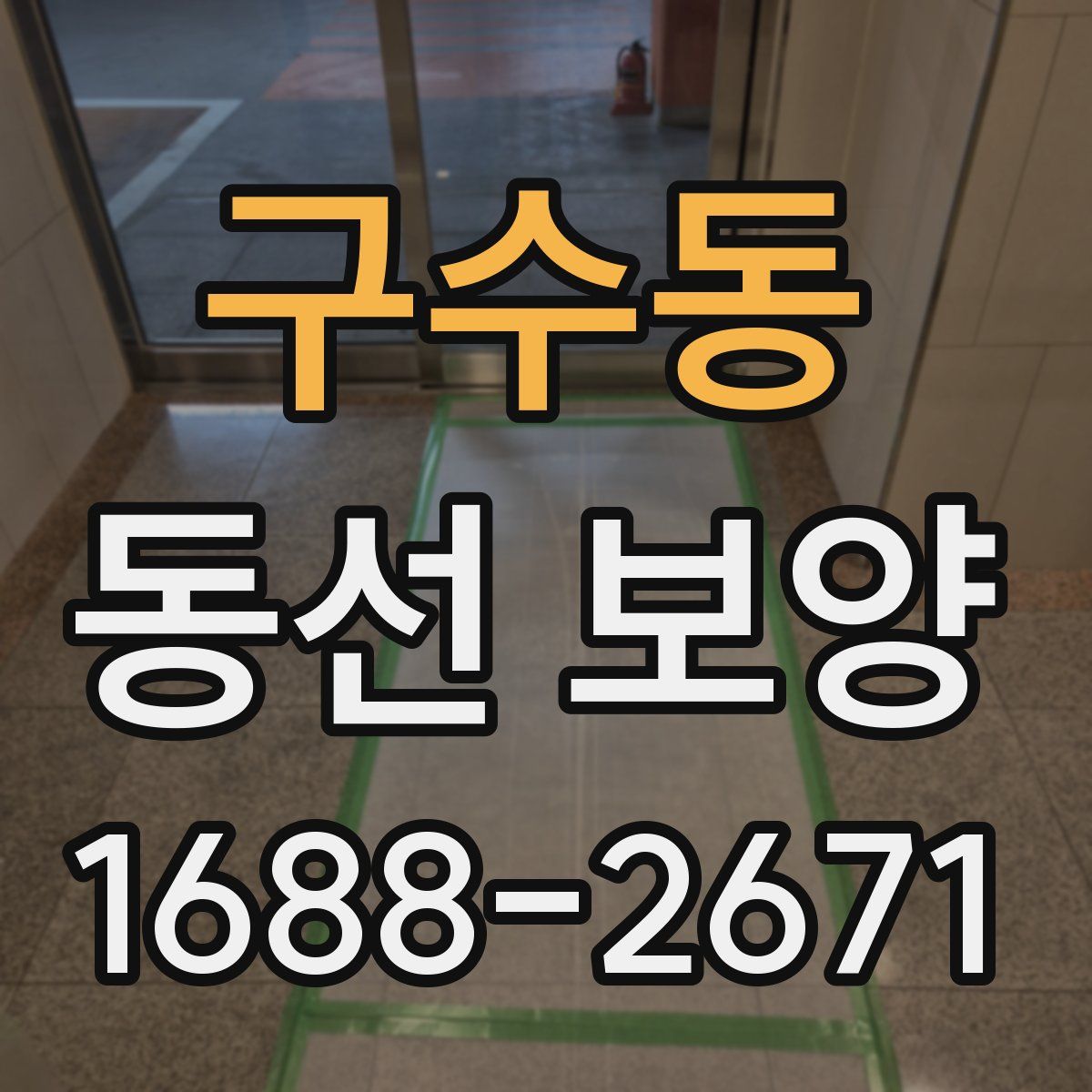 구수동 동선 보양