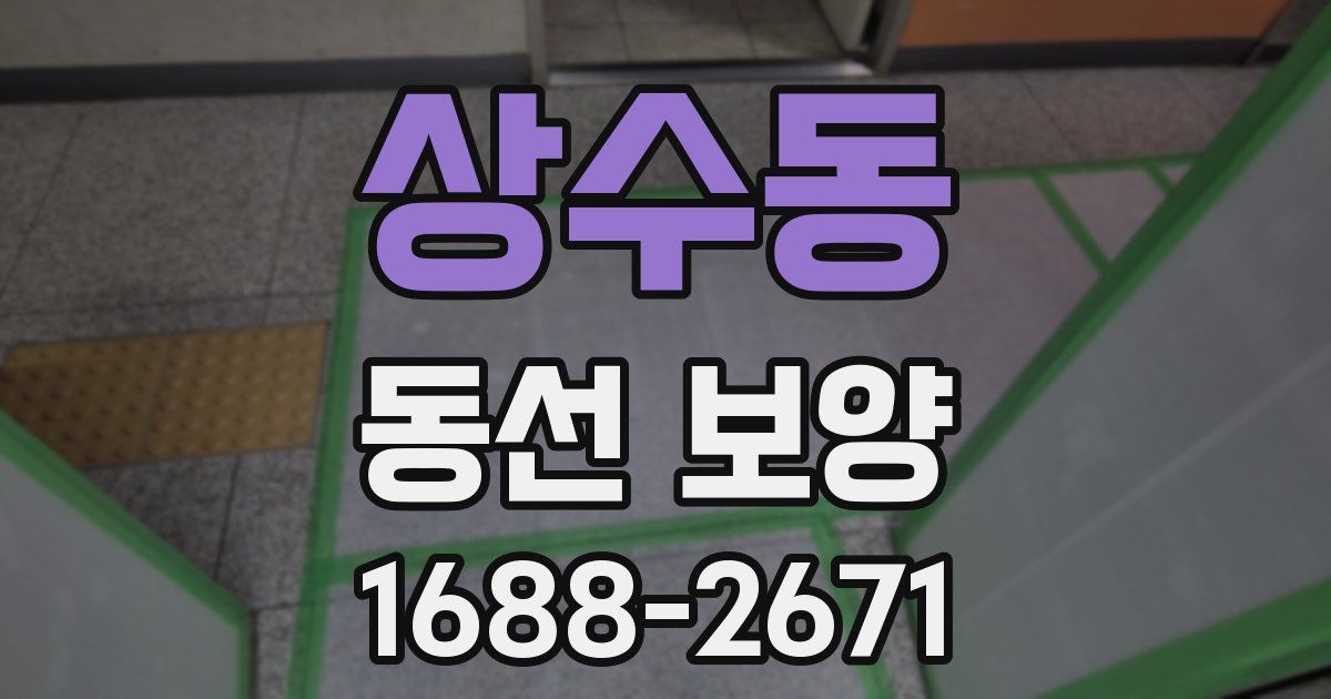 상수동 동선 보양