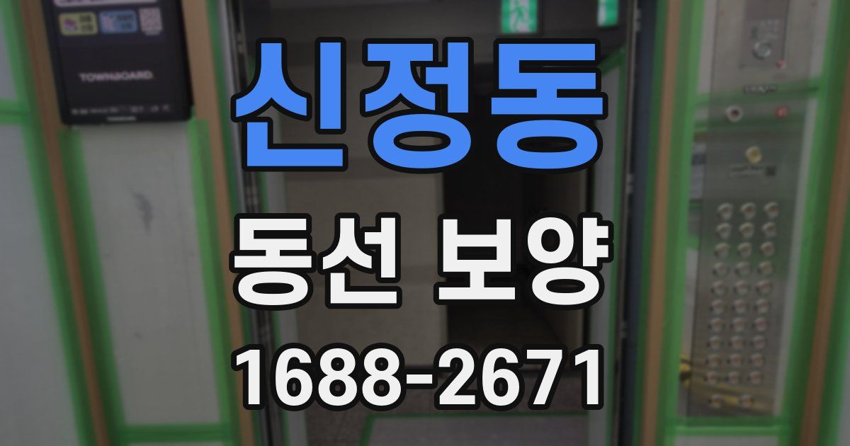 신정동 동선 보양