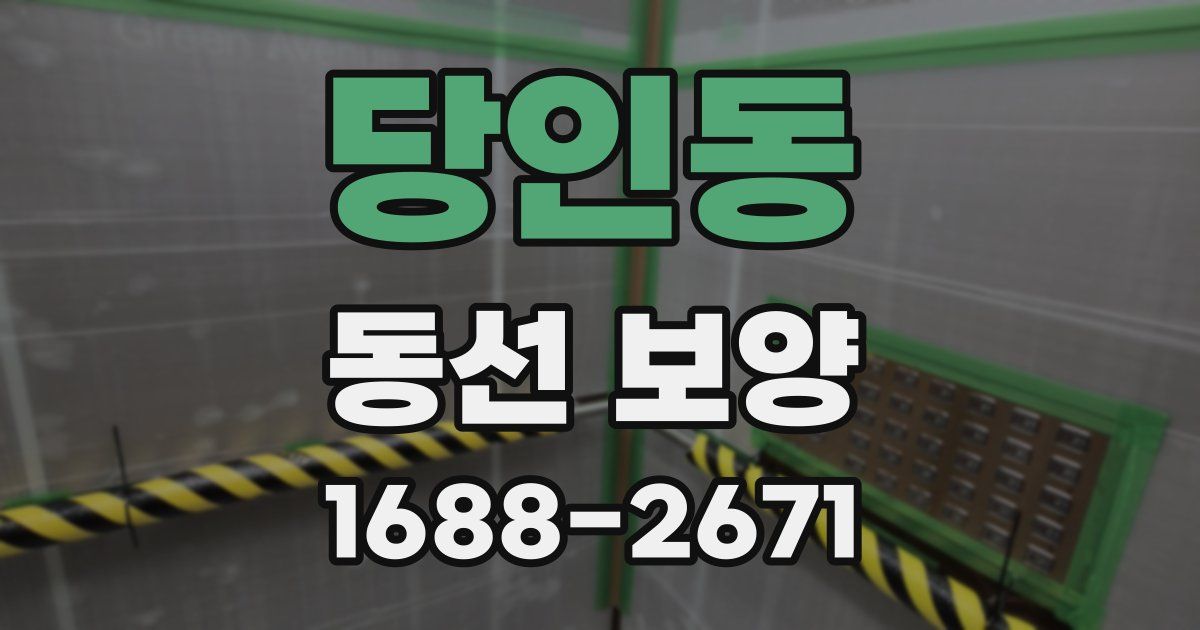 당인동 동선 보양