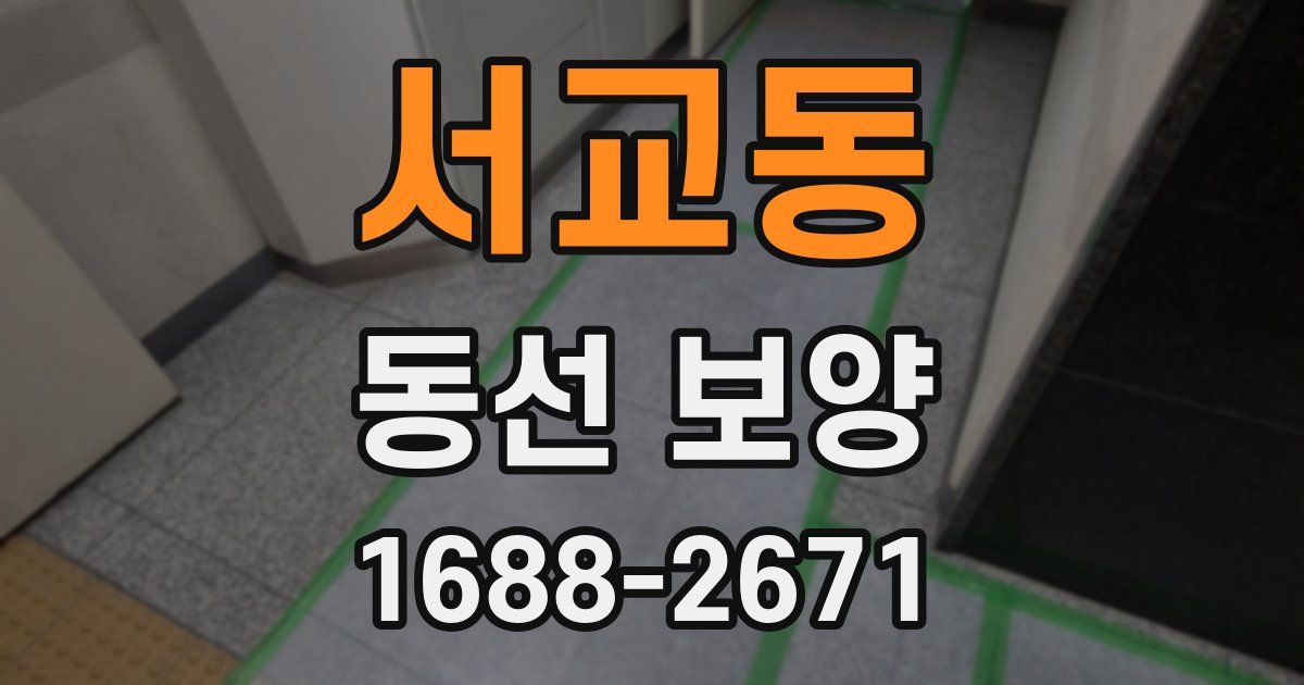서교동 동선 보양