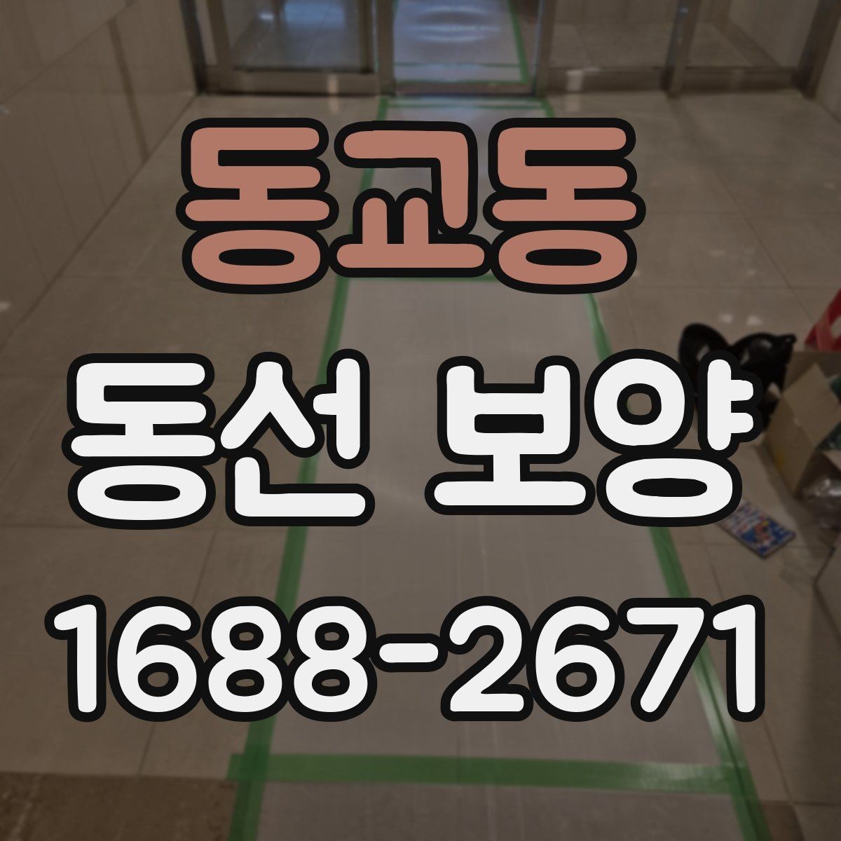 동교동 동선 보양 비용 산정 방식과 참고할 요소
