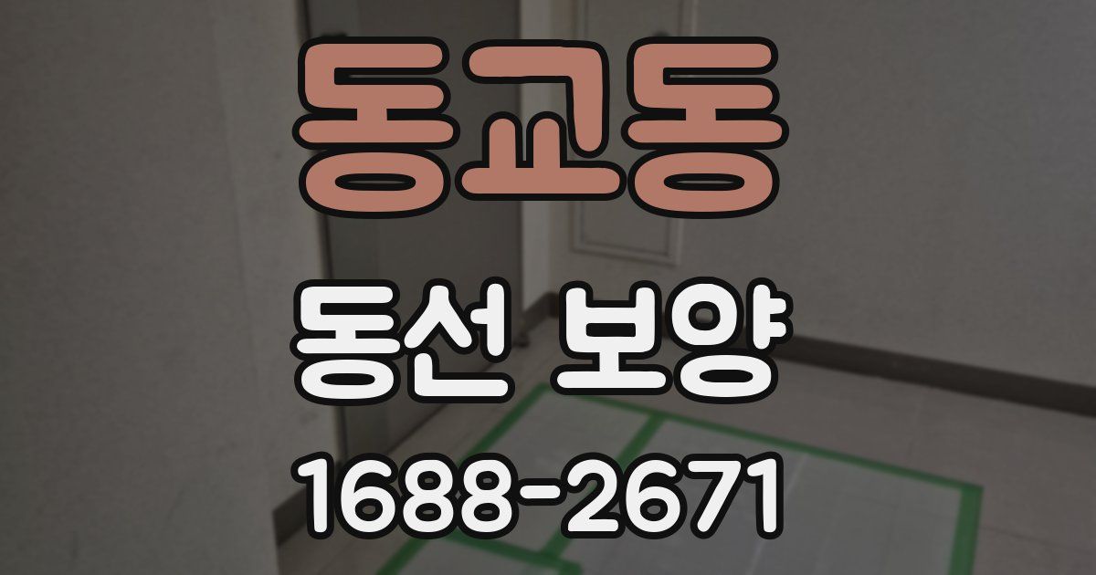 동교동 동선 보양