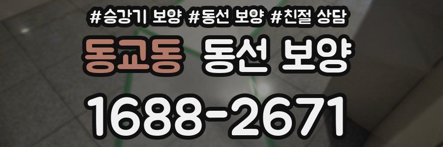 동교동 동선 보양