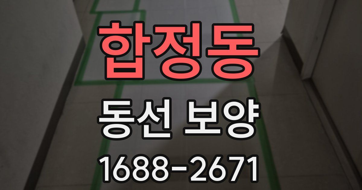 합정동 동선 보양